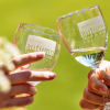 Food & Wine Festivals this summer and fall
