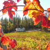 Sierra Vintners’ Fall Wine Trail is October 12-13
